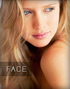 Face Plastic Surgery Procedures