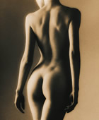 Aristocrat Plastic Surgery Lower Body Lift