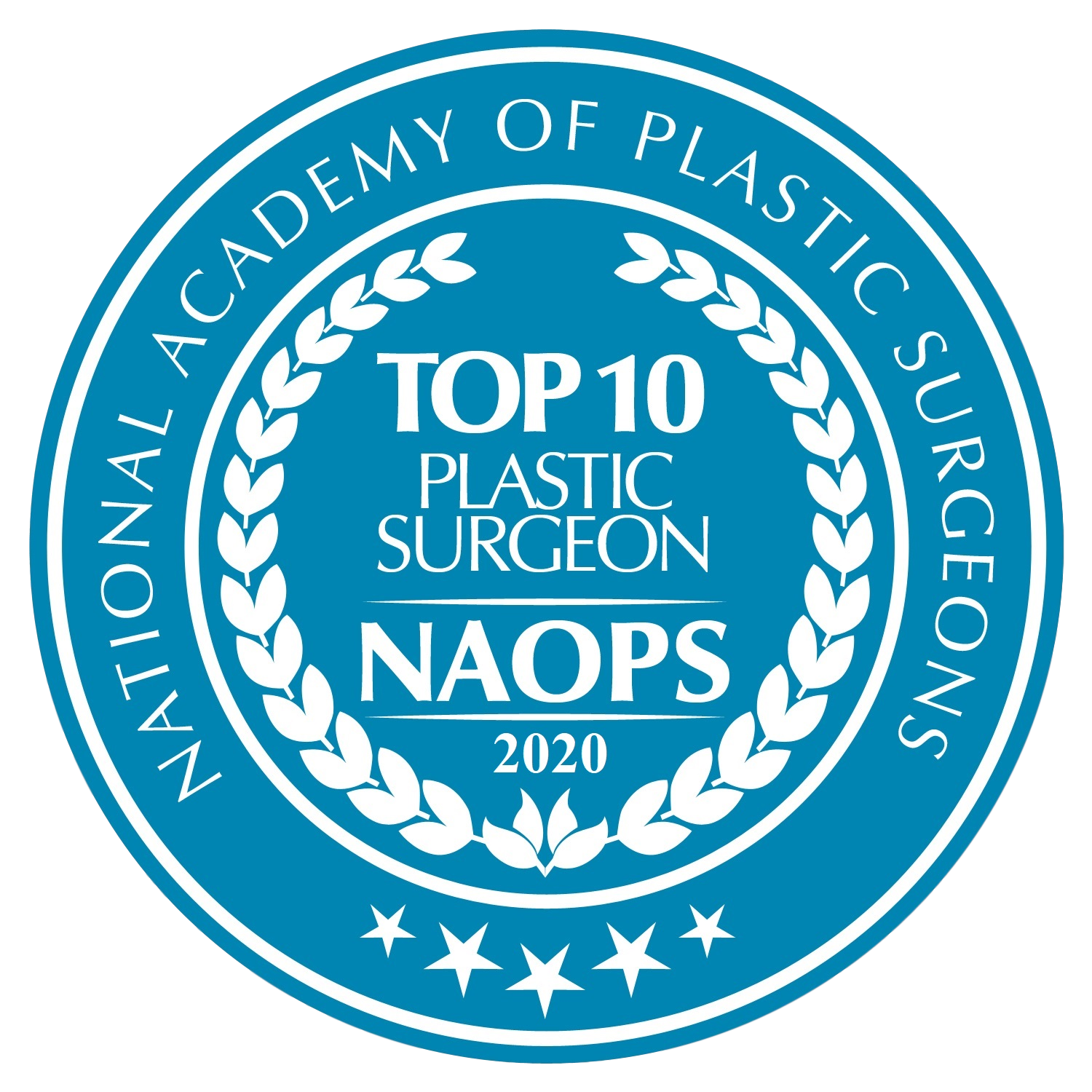 2020 Top 10 Plastic Surgeons Award