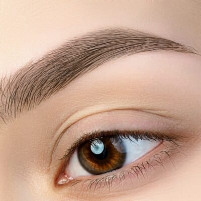 aristocrat brow lift aristocrat brow lift